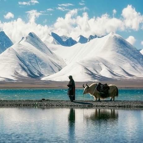 Kailash Crown Consciousness: Tibet Temple Alchemy 15 Day Tour