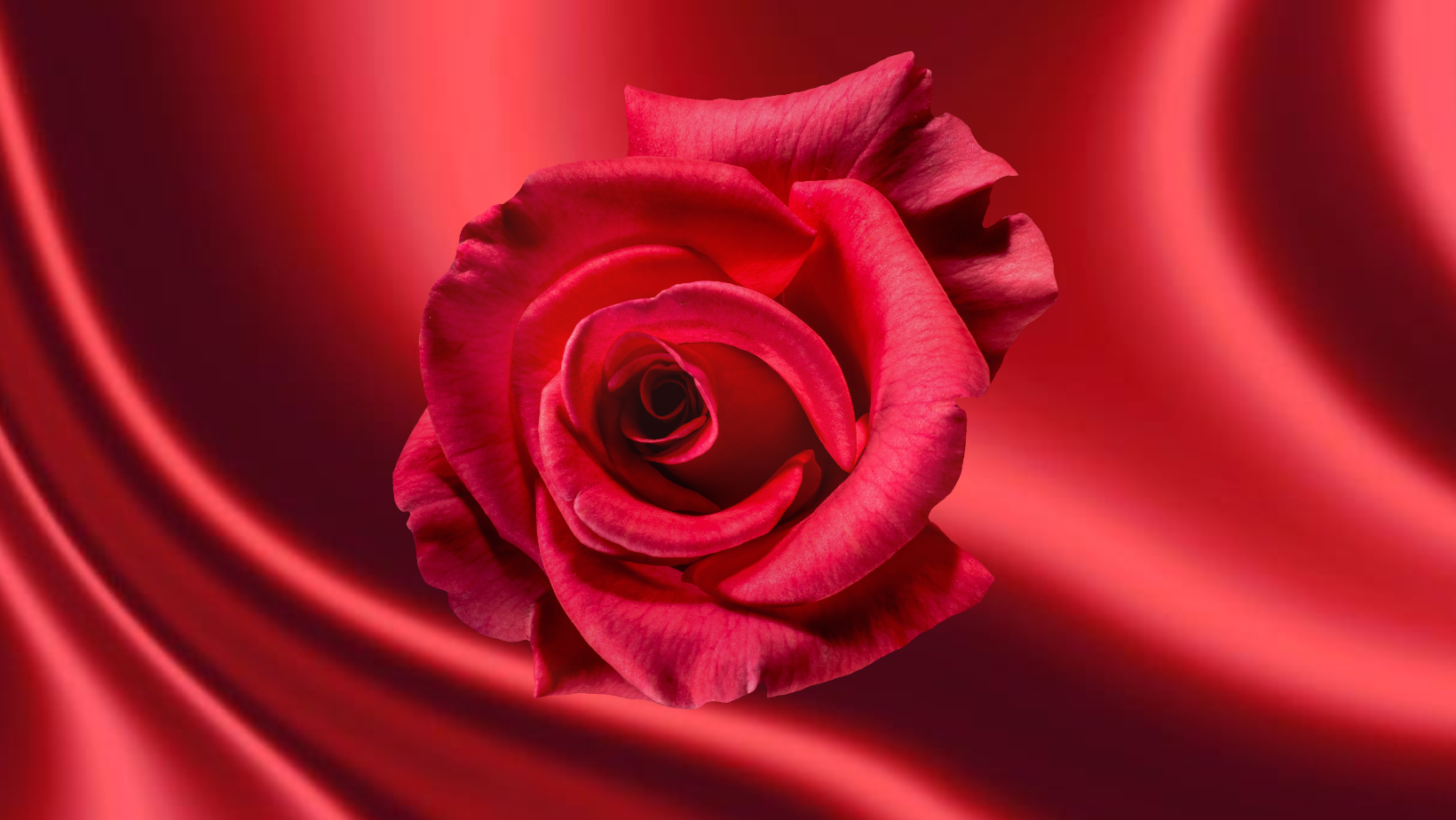 Diamond, Ruby & Rose