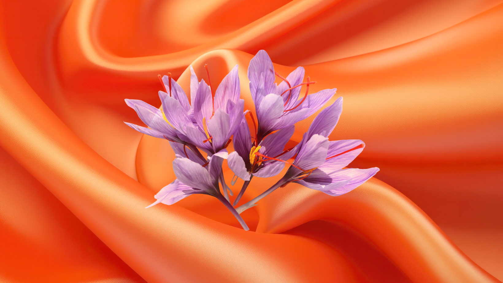 Diamond, Saffron & Sapphire